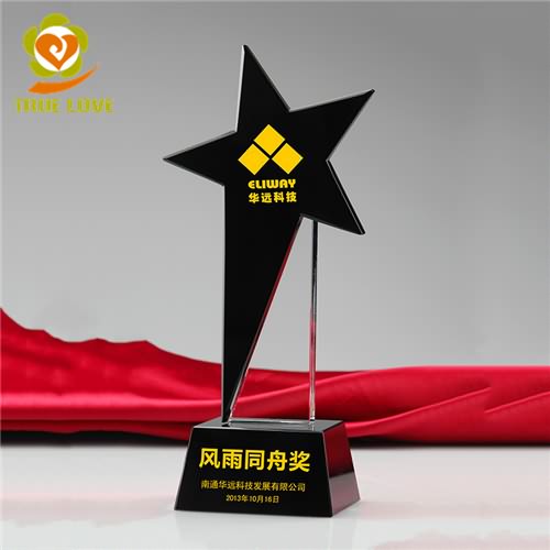 Crystal Shining Star Award  (2)