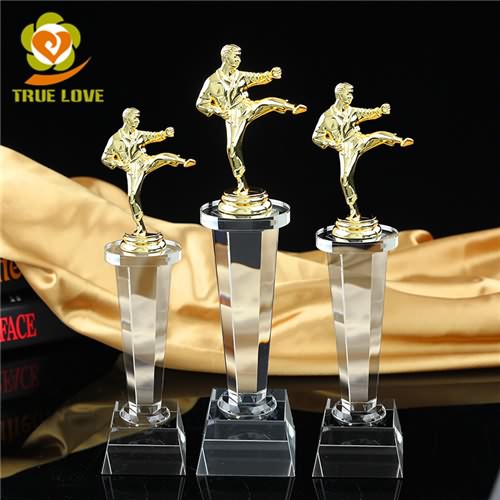 Taekwondo Kung Fu Trophy